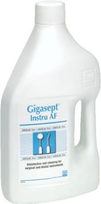 Gigasept Af Instrument Disinfectant/Cleaner 2 Litres