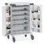 Pharmacy Trolley Trolley Drug Dispensing Patient Double Door, Bolt Lock (18 A & 12 C Trays)