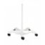 Floor Stand Five Spoke For Daylight Lamps