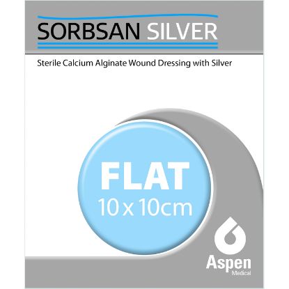 Sorbsan Silver Flat 10cm x 10cm x 10