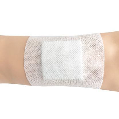 Softpore Adhesive Dressing - Various Sizes Available