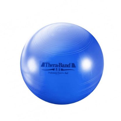 Physiotherapy Exercise Balls (Thera-Band) - Various Sizes Available